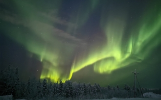 ������� ������ �� 15 ������