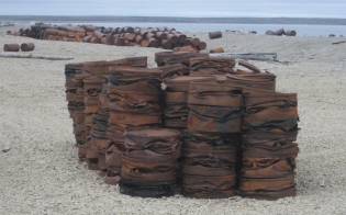 Северный флот очистит от мусора остров Кильдин