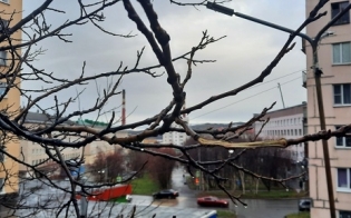 Прогноз погоды на 1 ноября