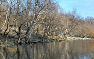 ������� ������ �� 5 ������