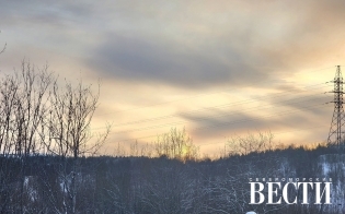 ������� ������ �� 12 �������