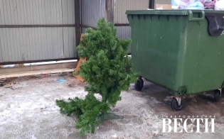 ����-�����