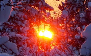 ������� ������ �� 28 �������