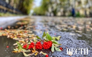 ������� ������ �� 1 �������