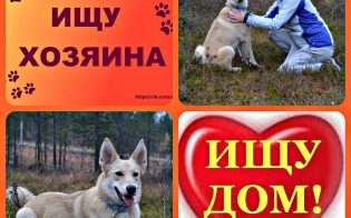 Приезжайте знакомиться с Василисой