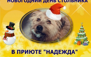 � ������ ����������
