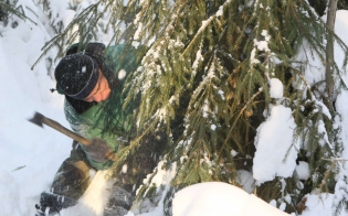 � ���� �������� ������, � ���� ��� �����