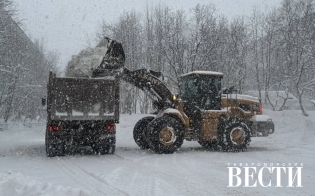 ������� ������ �� 11 �������