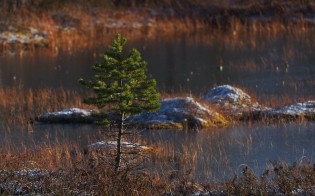 Прогноз погоды на 27 октября