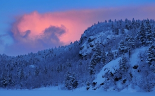 ������� ������ �� 16 �������