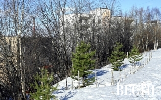 ������� ������ �� 30 �����