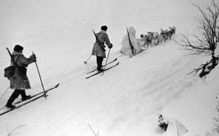 ������� ���������