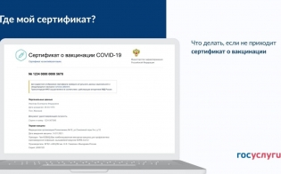 ���� �� �������� ���������� � ����������