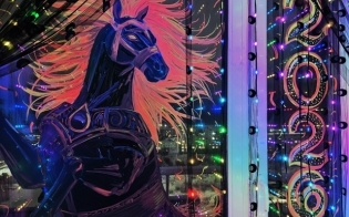 ��� ������������ ����������