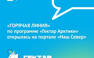 " "   " "