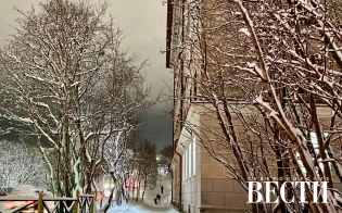 ������� ������ �� 7 �������