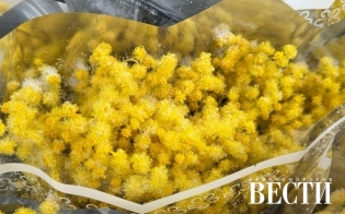 ������� ������ �� 15 �����