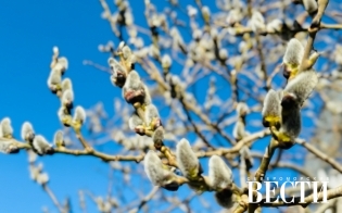 ������� ������ �� 17 ������