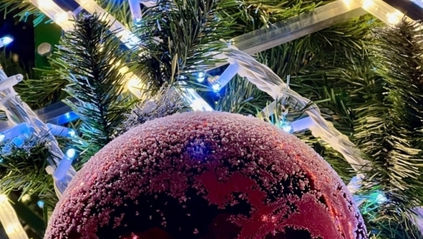 � ���������������� ���� ����� �� ������ ���������� ����