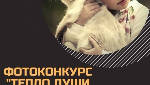 Фотоконкурс "Тепло души моей..."