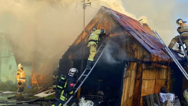 ������ ������������