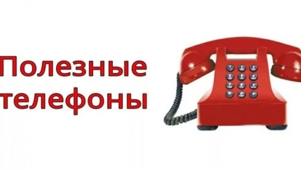 ���� ������� � ���������� ������ 