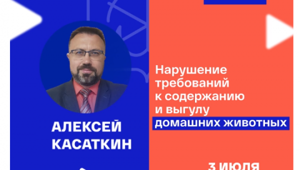 �� ������� ������� ������� ������������ �������� �� ����������� ���������� �������