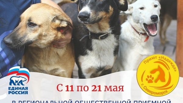 � ������ �������������� ������ "�������"