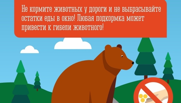 ��������-���������� �� ������� �������