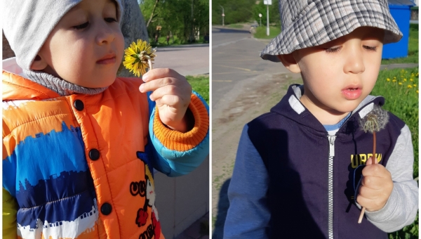 "��� ���� �� ������": ������� ������