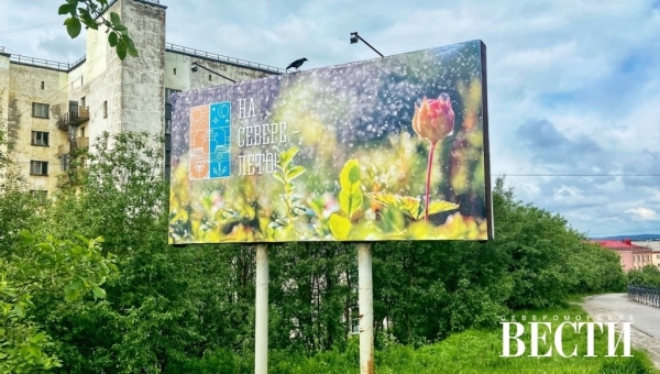 О профилактике в летний период