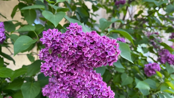 ������� ������ �� 15 ����