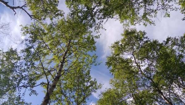 ����������� "�������� ���������"