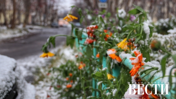 Прогноз погоды на 23 октября