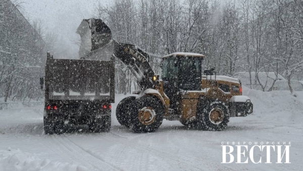 � ������ ������ ������