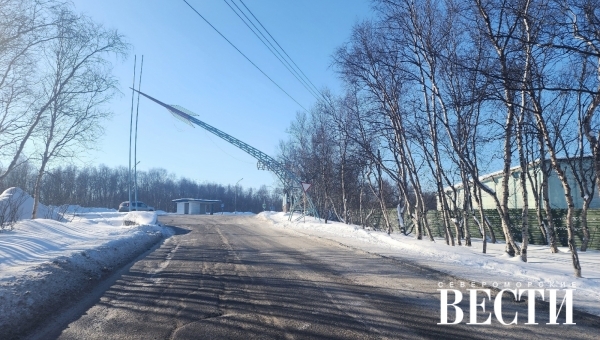 Взвесить все за и против