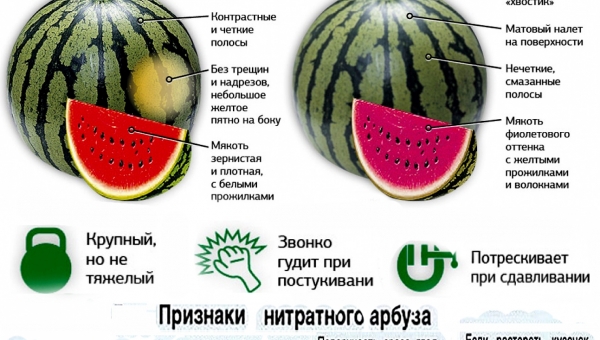 ����� ������ - ���� ������ 