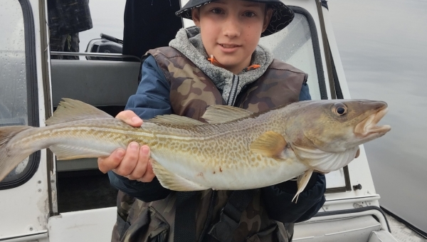 � ������ ������ ������...