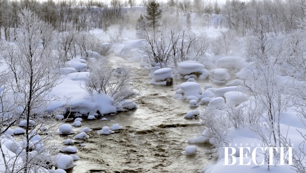 ������� ������ �� 30 ������